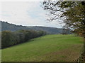 Field in the Lynher valley at North Hill