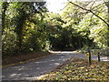 Hill Farm Lane, Ayot St.Lawrence