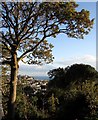 Torquay from Chapel Hill