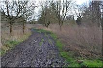 SP2965 : Riverside Walk through Brindley's Field, southeast Warwick by Robin Stott