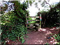 Stile giving access to a public footpath, Castleton