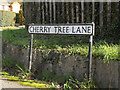TL1614 : Cherry Tree Lane sign by Geographer