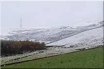 NT2341 : Early snow on Hamilton Hill by Jim Barton