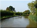 SJ6770 : Trent & Mersey Canal, between bridges 178 and 179 by Christine Johnstone