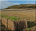 Farmland below Aller Hill