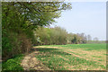 Public footpath along edge of Skinsley Wood