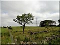 Fields north of Lead Road