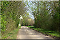TL6218 : Lane from High Roding to Barnston by Robin Webster