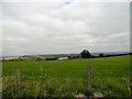 Looking north towards Hedley Park Farm