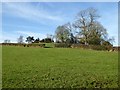 Fields near Little Cowarne