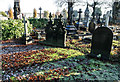 Sun melts the frost between the gravestones, Warrington Cemetery