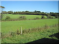 View from a Wootton-Smallbrook steam train - fields near Ashey