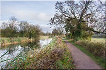ST0414 : Grand Western Canal by Guy Wareham