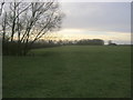 Bridleway heading to Mill Mound