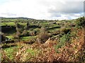 The Burren Hill road traversing the Grinan Lough valley