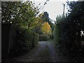 TQ7818 : Churchland Lane at Poplars Cottage by Patrick Roper