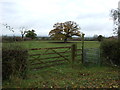 Footpath off Old Hall Lane