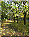 Barnwell Road cycle path