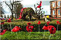 Knitted poppies. Knutsford 1