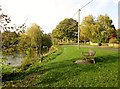 Village  Street  and  duck pond  Grewelthorpe