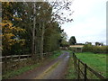 Farm track (footpath) off Bickerton Road