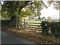 Field entrance and footpath off Nantwich Road, Chorley