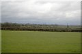 Pasture, Lower Baynton