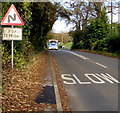 Warning sign - bends for half a mile ahead beyond St Arvans