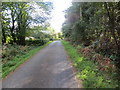 Road near Wigpool Common