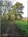 Track and footpath, Little Cowarne