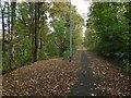 Path to Birkmyre Park from the cycle route