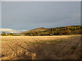 Farmland at Thorn