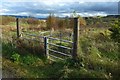 Gate beside Dougliehill Road