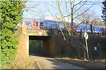 SU8167 : Railway Bridge on Luckley Road by Roger Templeman