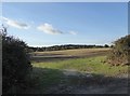 Farmland east of the A22