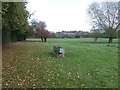 Meadow And Drinking Trough