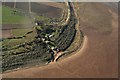 Seal spectacular on the beach at Donna Nook: aerial 2016