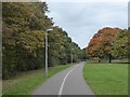 Foot and cyclepath by Hamlin Lane Recreation Ground, Exeter