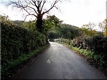 SO5921 : Road south from Coughton towards Howle Hill by Jaggery