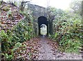 Narrow squewed railway bridge at Tottleworth