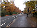 Hookstone Drive - viewed from Hookstone Road