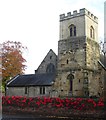 Poppies at St Oswalds