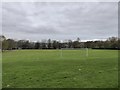 SJ8945 : Fenton Park: football pitch by Jonathan Hutchins