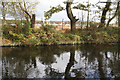 New build site next to the Staffordshire & Worcestershire Canal