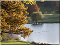 Lake at Brocket Hall, Hatfield, Hertfordshire