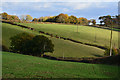 Teignbridge : Countryside Scenery