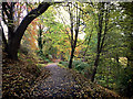 Lade Braes footpath