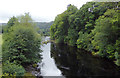 Afon Dyfrdwy - The River Dee near Pentrefelin, Denbighshire