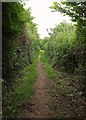 Avon Valley Path north of Fordingbridge