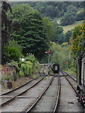 SJ2142 : Railway lines north-west of Llangollen, Denbighshire by Roger  D Kidd
